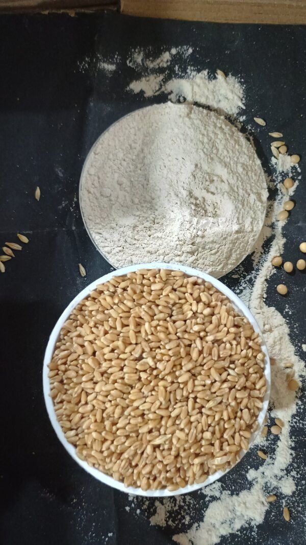 Jwar Atta (Sorghum Flour) – 500g, 1kg, 5kg - Image 2